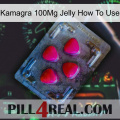 Kamagra 100Mg Jelly How To Use 13